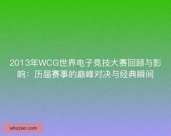 2013年WCG世界电子竞技大赛回顾与影响：历届赛事的巅峰对决与经典瞬间