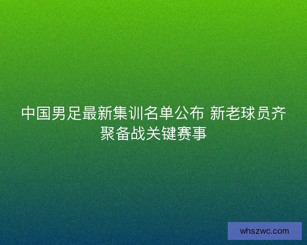 中国男足最新集训名单公布 新老球员齐聚备战关键赛事